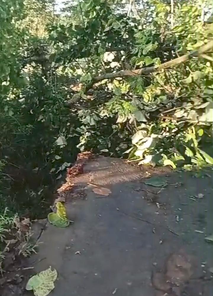 Hujan Dua Hari, Jalan Penghubung Antar Dusun di Bawen Longsor: Warga Terpaksa Memutar Jauh