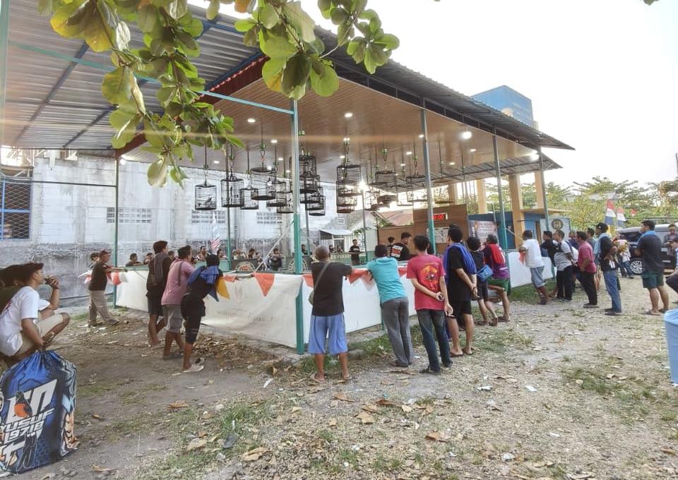 Road to Anniversary Arena Togok Pakan: Saat Hobi Berubah Menjadi Peluang Ekonomi Warga RW 03 Bangetayu Wetan